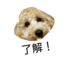 [LINEスタンプ] ホップちゃん1