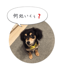 [LINEスタンプ] ラテの日常 2