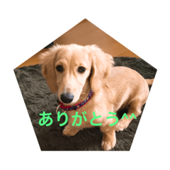 [LINEスタンプ] クリームダックスのシエルだよ