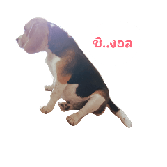 [LINEスタンプ] dogdukdikk