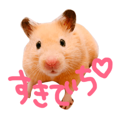 [LINEスタンプ] キンクマハムスターぷぷさん