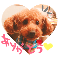 [LINEスタンプ] 犬のももんじゃ