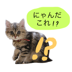 [LINEスタンプ] こはるびより①