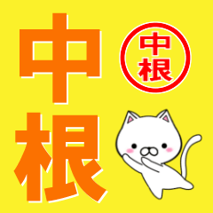[LINEスタンプ] 超★中根(なかね・ナカネ)なネコの画像（メイン）
