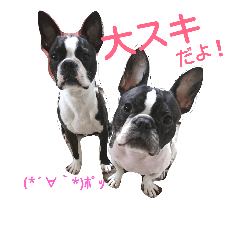 [LINEスタンプ] うずたま