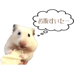 [LINEスタンプ] ジーゴ ハムスタンプ