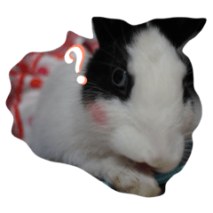 [LINEスタンプ] piakpoonthebunny