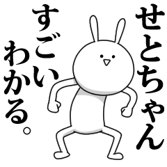 [LINEスタンプ] きも動く‼せとちゃん専用名前スタンプ