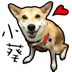 [LINEスタンプ] Dog AOI's Life