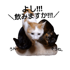 [LINEスタンプ] 浅原家の動物たち②