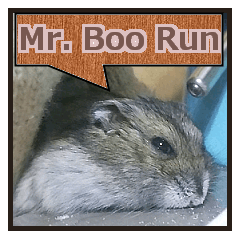 [LINEスタンプ] Mr. BooRunの画像（メイン）