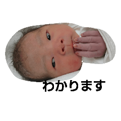 [LINEスタンプ] こいずみ