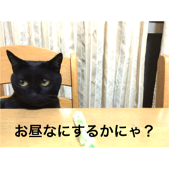 [LINEスタンプ] 黒猫ジジ