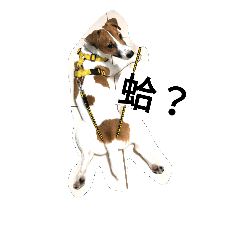 [LINEスタンプ] TobbytheJack Russell_tw vol. 1