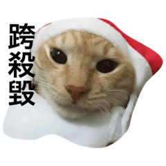 [LINEスタンプ] ダメな猫