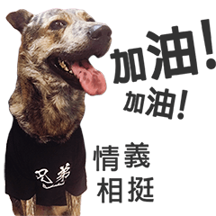 [LINEスタンプ] Stray dog "Highway2"