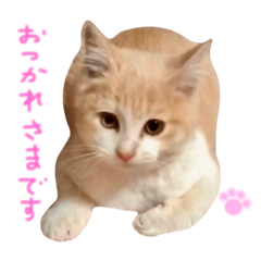 [LINEスタンプ] ひろしとこどもたち 2