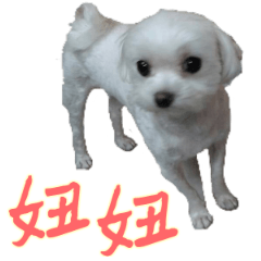 [LINEスタンプ] Dog-niuniu