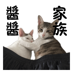 [LINEスタンプ] チャンチャン家族