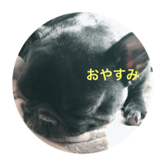 [LINEスタンプ] 獅子丸スタンプ