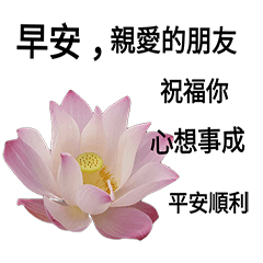 [LINEスタンプ] Nelumbo nucifera (flower)