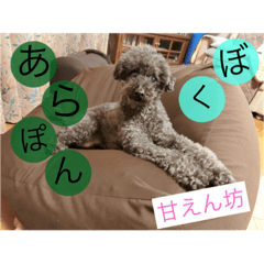 [LINEスタンプ] 甘えん坊のあらぽん