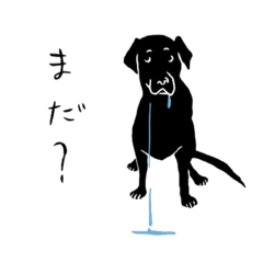 [LINEスタンプ] わんだのわんだふるらいふ