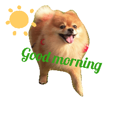 [LINEスタンプ] I love my Pomeranians