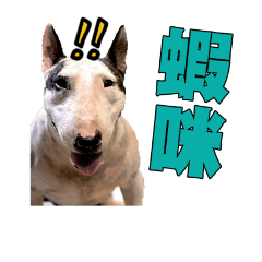 [LINEスタンプ] i love bullterrier large