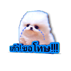 [LINEスタンプ] Love by the dog