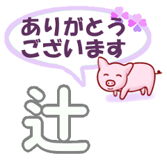 [LINEスタンプ] 辻「つじ」さん専用。日常会話