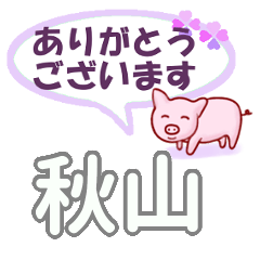 [LINEスタンプ] 秋山「あきやま」さん専用。日常会話