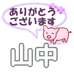 [LINEスタンプ] 山中「やまなか」さん専用。日常会話