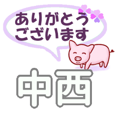 [LINEスタンプ] 中西「なかにし」さん専用。日常会話