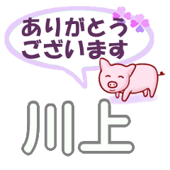 [LINEスタンプ] 川上「かわかみ」さん専用。日常会話