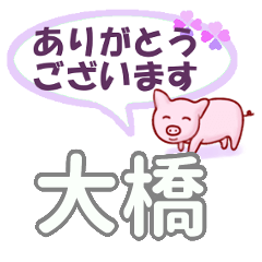 [LINEスタンプ] 大橋「おおはし」さん専用。日常会話