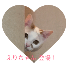 [LINEスタンプ] 可愛い動物達の笑顔！