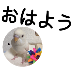 [LINEスタンプ] 日常会話で使える便利な挨拶一言スタンプ