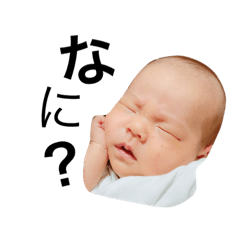 [LINEスタンプ] はるぼぉ。