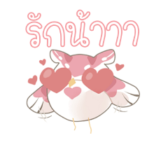 [LINEスタンプ] Nokhuk-cutecute