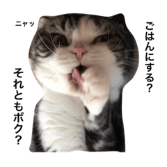 [LINEスタンプ] レンすけ