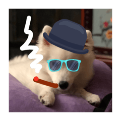 [LINEスタンプ] Kumo Dog