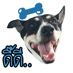 [LINEスタンプ] Dog Club No 5