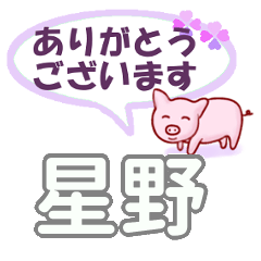 [LINEスタンプ] 星野「ほしの」さん専用。日常会話