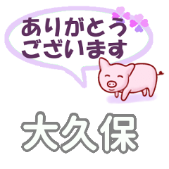 [LINEスタンプ] 大久保「おおくぼ」さん専用。日常会話