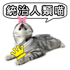 [LINEスタンプ] Four cats daily