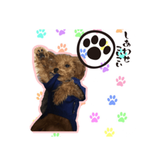 [LINEスタンプ] 愛犬チョコちゃん