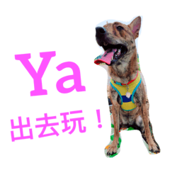 [LINEスタンプ] 食いしん坊 犬