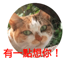 [LINEスタンプ] Cat talks