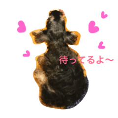 [LINEスタンプ] ゆま しぇり さくら きゃりー める